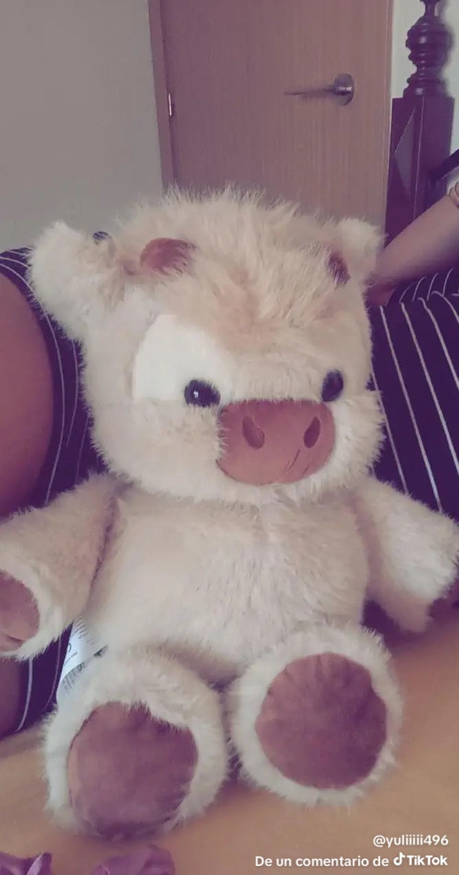 <em>SOFIA R.</em>